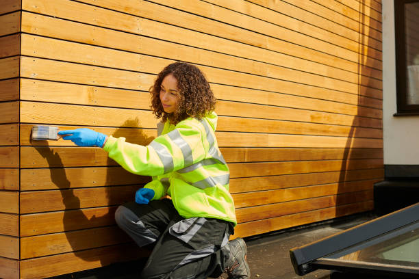 Best Fascia and Soffit Installation  in Lomita, CA